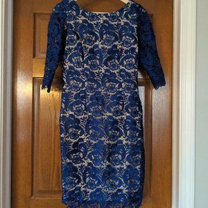 Eliza J Blue Lace 3/4 sleeve Illusion Knee Length Cocktail Dress Size 6
